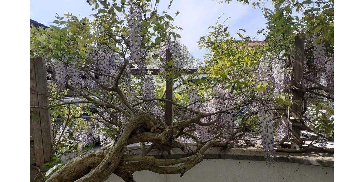 Einfamilienhaus Egmating - 6 Zimmer, 202 m&sup2;, 1.120.000&euro; | Angebot:25713710