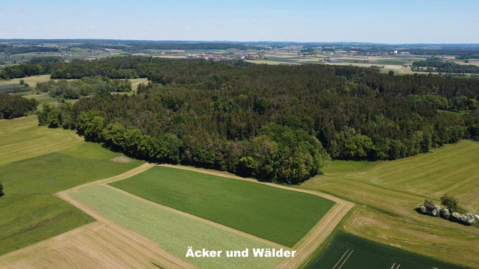 Bauernhaus, Landhaus Ebersberg - 3.400.000&euro; | Angebot:26739468