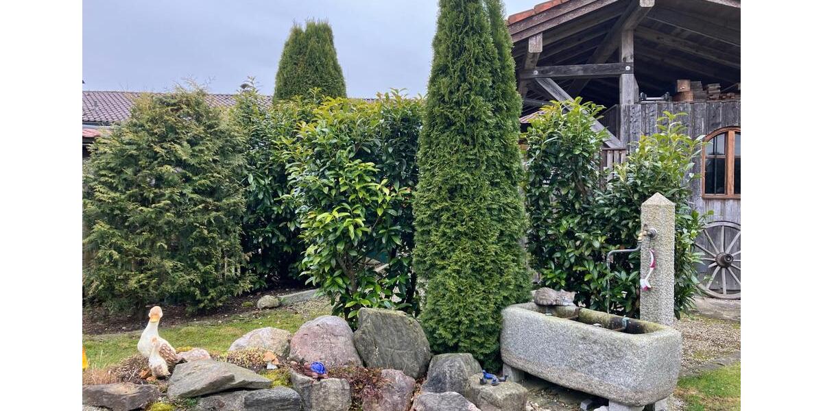 Loft - Studio - Atelier Rechtmehring - 3 Zimmer, 80 m&sup2;, 950&euro; | Angebot:25843222