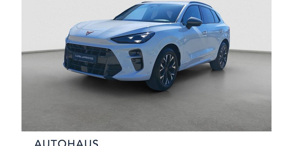 Cupra Terramar 19.600 km 33.900 &euro; Ebersberg bei München 85560