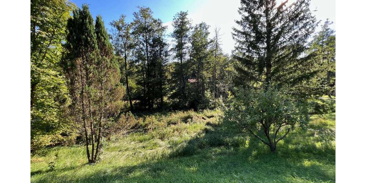 Grundstück Ebersberg - 1.000.000&euro; | Angebot:25684403