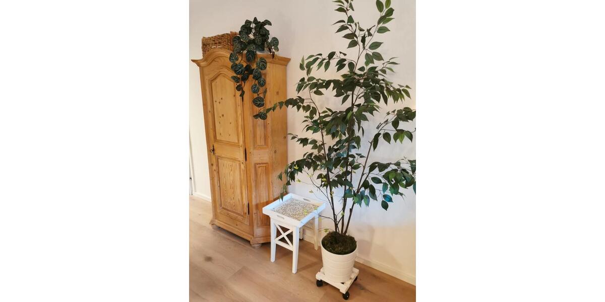 Etagenwohnung Wasserburg am Inn - 1 Zimmer, 66 m&sup2;, 1.089&euro; | Angebot:26612624